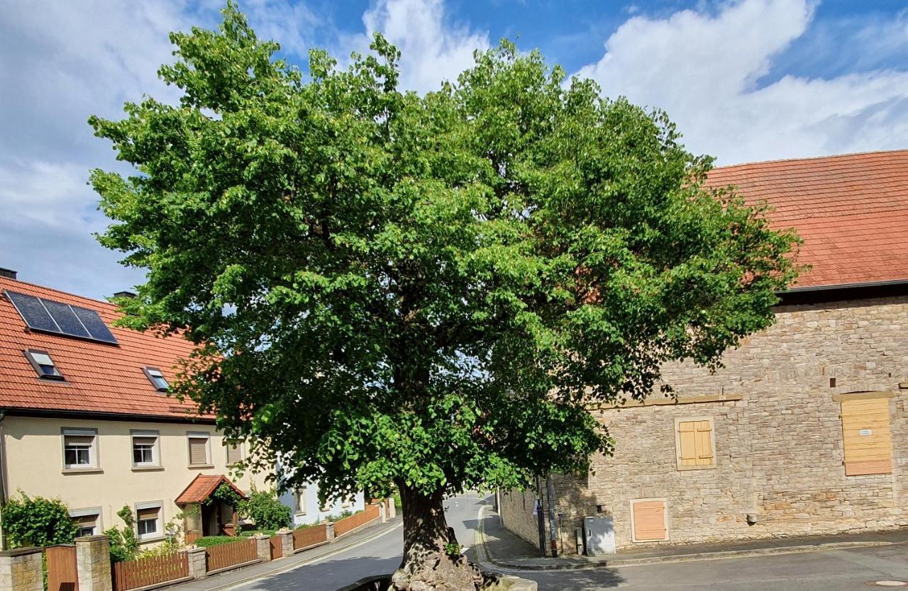 Ferienwohnung Zur Linde Dettelbach Εξωτερικό φωτογραφία
